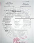Attestation d'inscription au fichier des importateurs